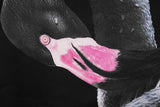 New High High Men Flamingo Swan Hoodies Hoody Hooded Sweatshirts Velve