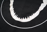 New 2019 Men Shark Teeth Bone Gentleman Hoodies Hoody Hooded Sweatshir