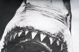 New Baolideng High Men Shark Teeth Yin Yang Hoodies Hoody Hooded Sweat