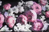 New Baolideng High Men 17 Romantic Roses Kenye Hoodies Hoody Hooded Sw