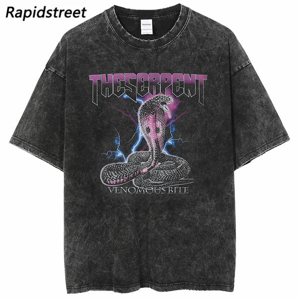 Sadcore Aesthetic print tee – Men Washed T Shirt Hip Hop Streetwear Lightning Snake Print