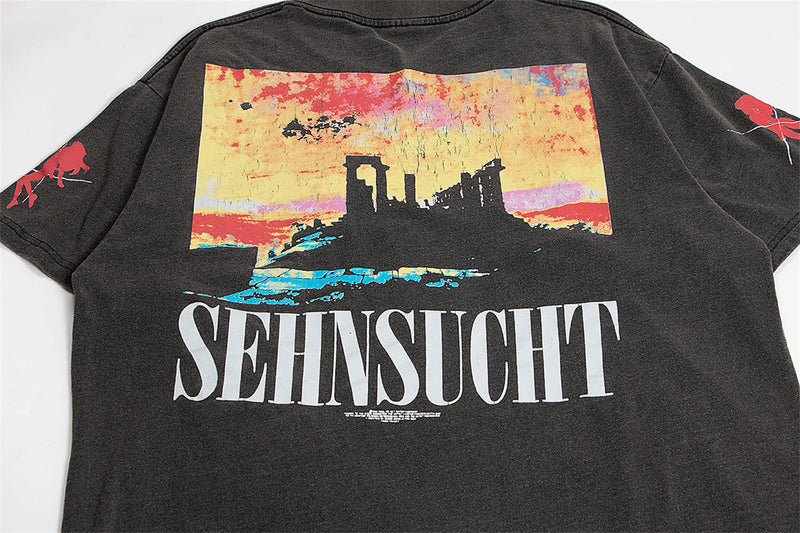 sadcore streetwear top featuring 2024 new summer vintage retro anime printing high street cotton casual loose good quality heavy texture t shirt tops