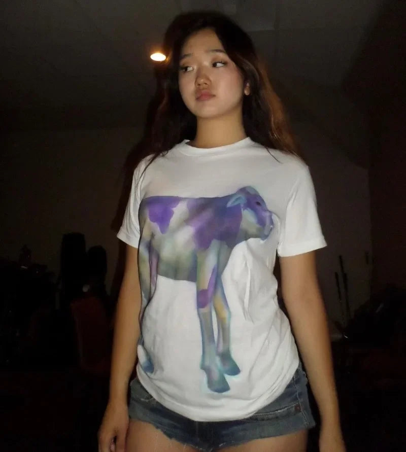 Harajuku Oversized shirt – American Fashion Women Clothing Y2K Cartoon Animation Print