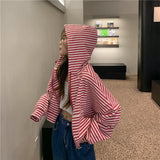 Autumn And Winter New Korean Style Ins Casual Sports Style Striped Hoo