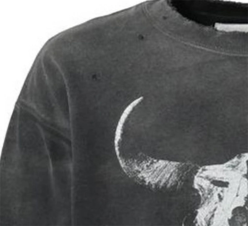 Vintage FW24 Devil print pattern High-Street Cotton Quality round neck pullover long sleeved sweatshirt